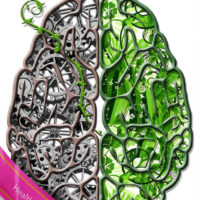 Healthy Mind - Book 1